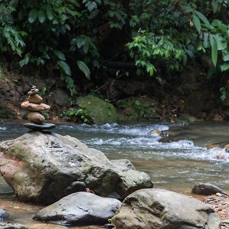 Rain Forest Guest House And Jungle Trekking Bukit Lawang Dış mekan fotoğraf