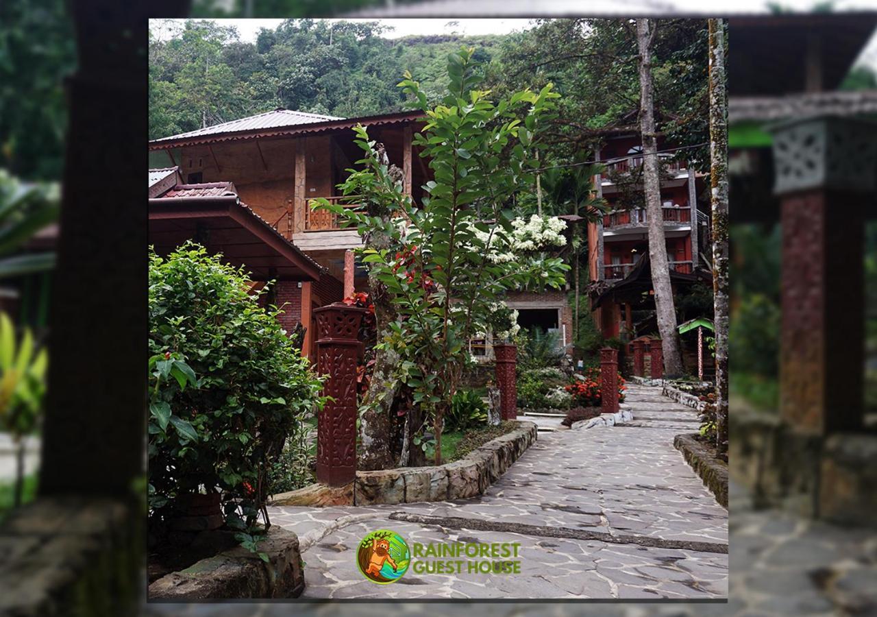 Rain Forest Guest House And Jungle Trekking Bukit Lawang Dış mekan fotoğraf