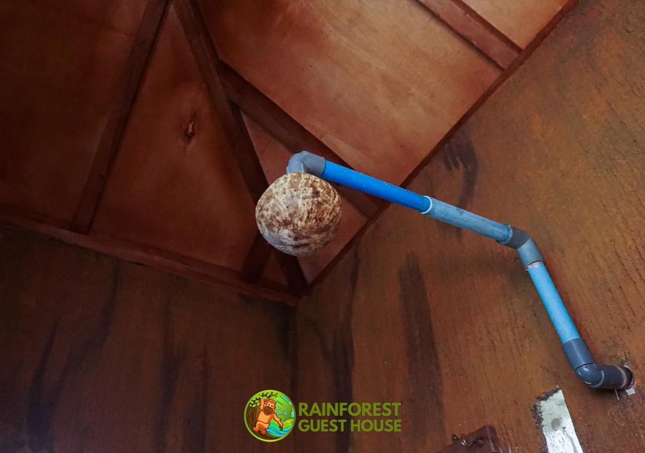 Rain Forest Guest House And Jungle Trekking Bukit Lawang Dış mekan fotoğraf