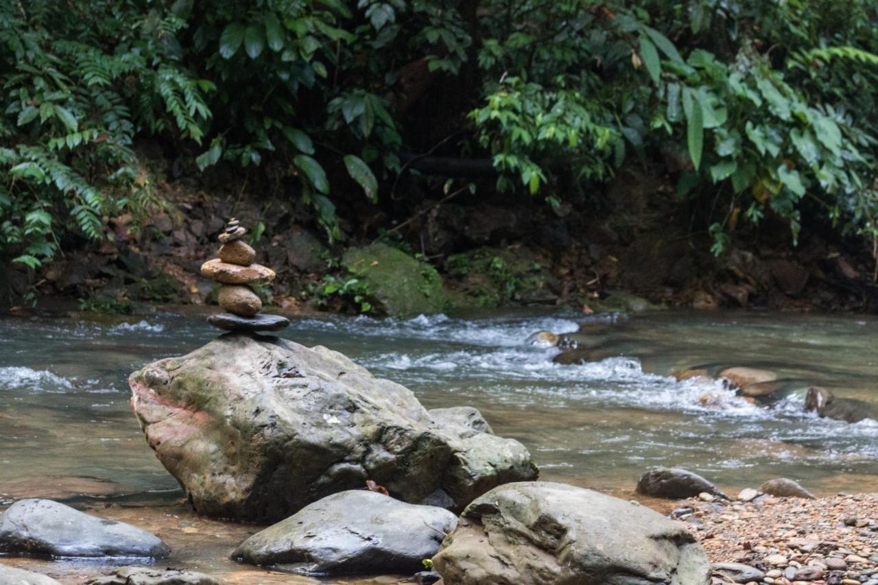 Rain Forest Guest House And Jungle Trekking Bukit Lawang Dış mekan fotoğraf